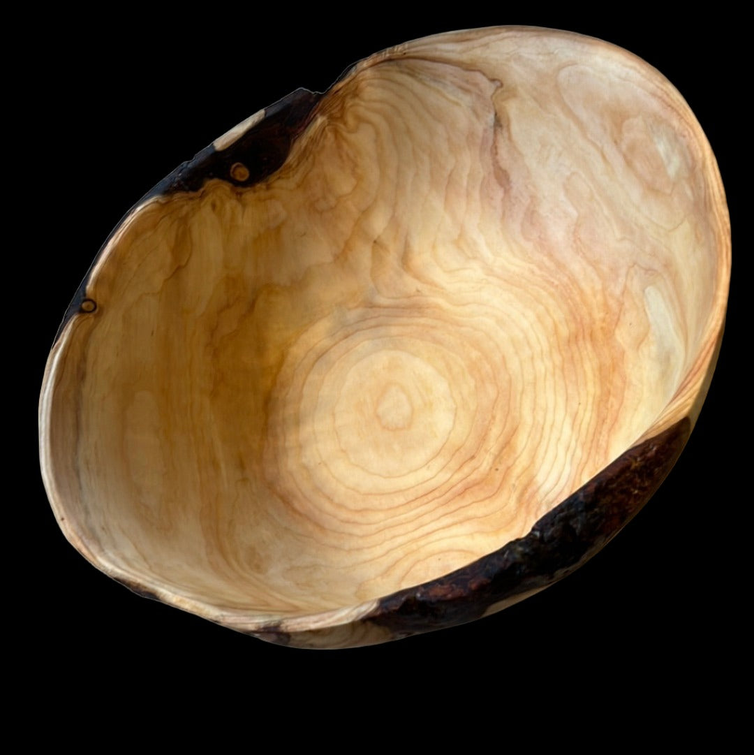 14" Spruce Burl Salad Bowl