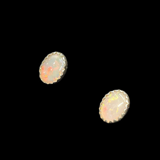 Australian White Opal Studs