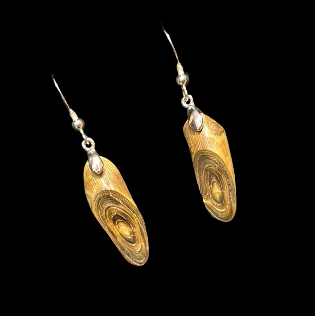 Alaskan Coral Earrings (Large Brown swirl)