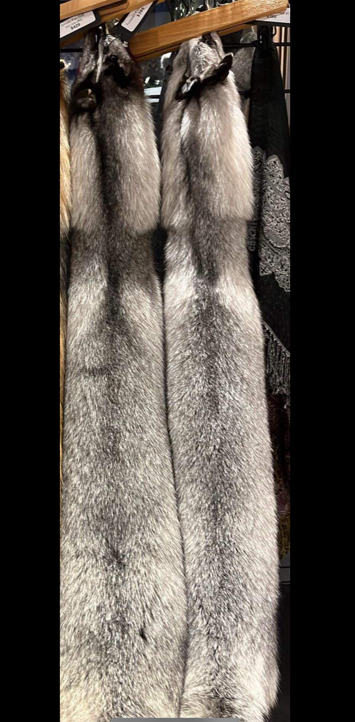 Tuxedo Fox Pelt