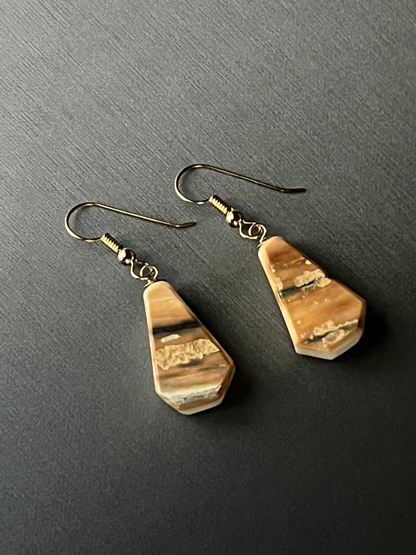 Alaskan Mammoth Ivory Earrings (14k gold)