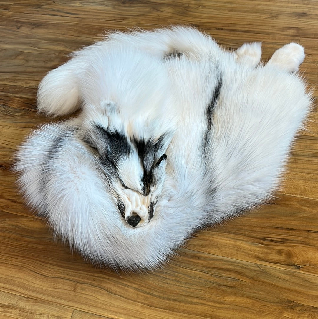 Arctic Marble Fox (#34)