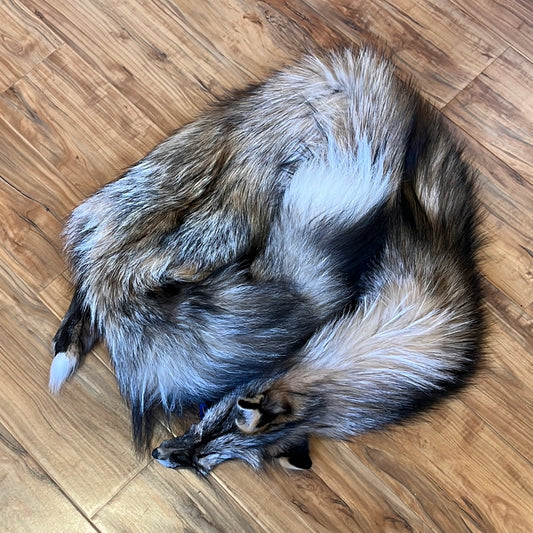 Smoky Fox, very rare (#4)