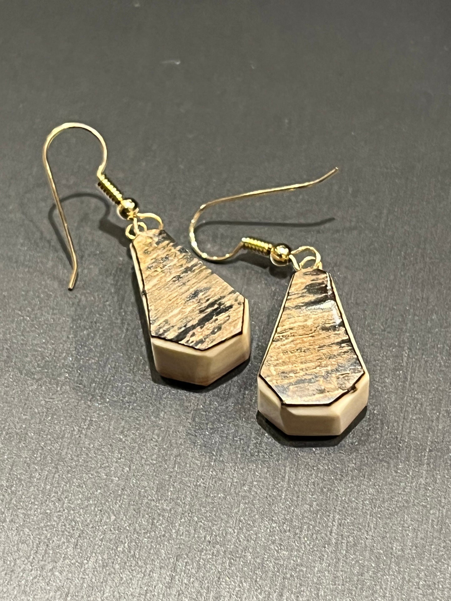 Alaskan Mammoth Ivory Earrings (14k gold)