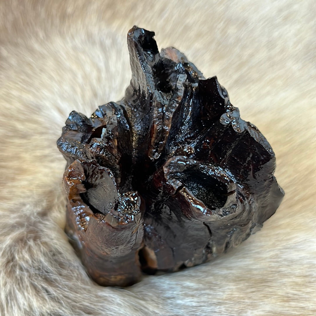 Mammoth tooth preserved in resin