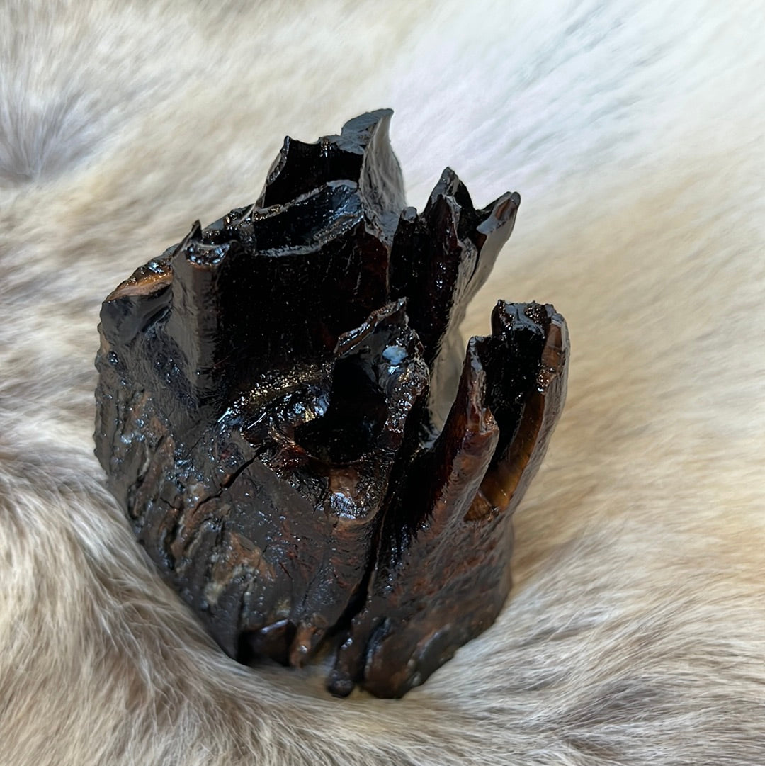 Mammoth tooth preserved in resin