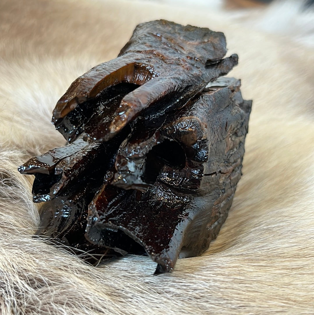 Mammoth tooth preserved in resin