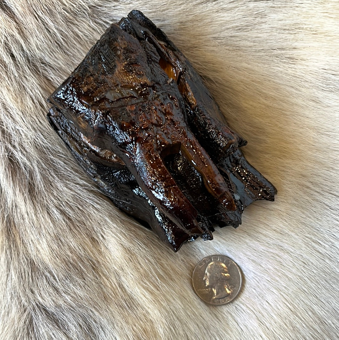 Mammoth tooth preserved in resin