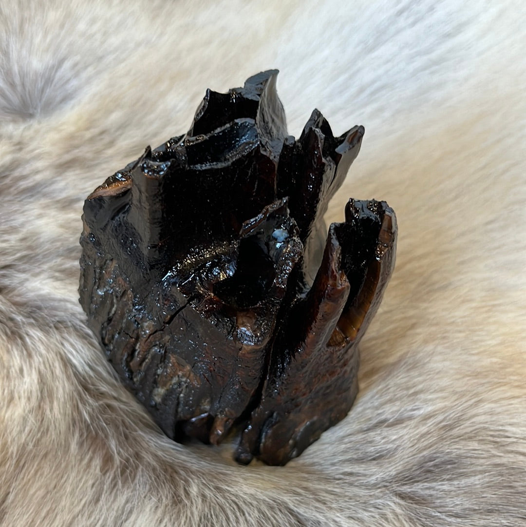 Mammoth tooth preserved in resin